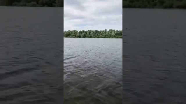 Навашинский затон, Нижегородская обл. смотреть онлайн