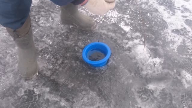 Ловля карася на косынки смотреть онлайн