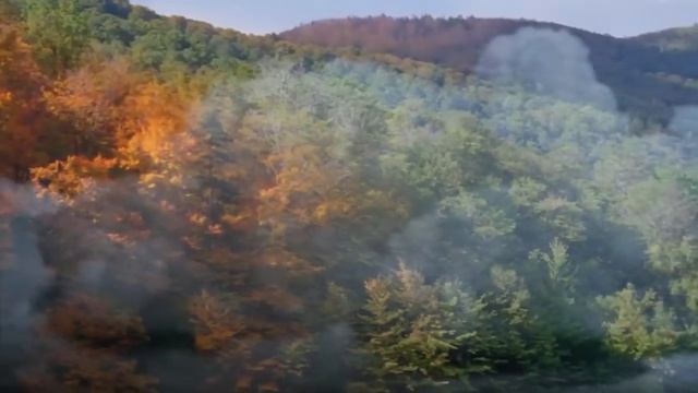 Совершенный Бог смотреть онлайн