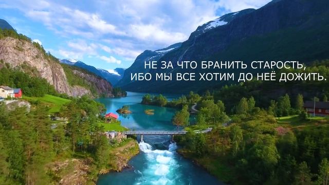 Афоризмы и цитаты Мудрых. Этапы жизни в сравнении.