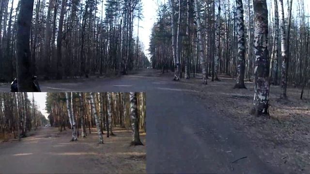 Quarantine forest ~ Velo ride vloG смотреть онлайн
