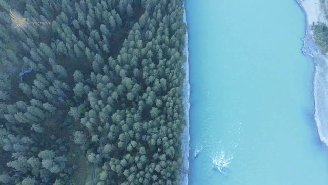 Катунь смотреть онлайн