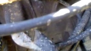 стук сцепления