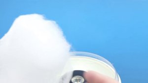 СЛАДКАЯ ВАТА ИЗ ЖЕЛЕЙНОГО МЕДВЕДЯ ВАЛЕРЫ | АППАРАТ СЛАДКАЯ ВАТА | КАК СДЕЛАТЬ СЛАДКАЯ ВАТА ДОМА