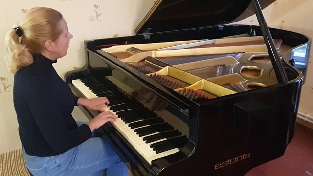 В.А.Моцарт.Соната 5.К 283.Соль Мажор.2 часть./Анна Горьева. смотреть онлайн