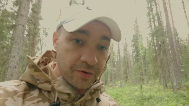 Парк Паанаярви. Карелия. Полный обзор смотреть онлайн