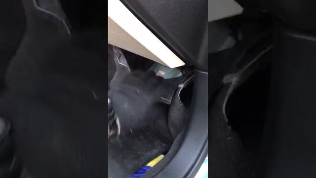 Избавляемся от ошибки по EGR на EZ30 смотреть онлайн