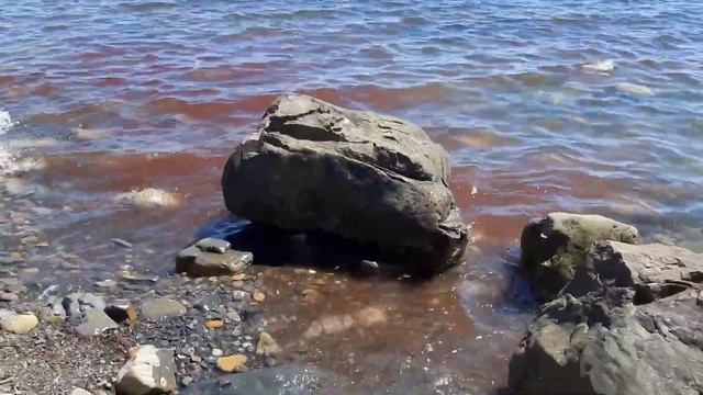 Скала ПАРУС, как добраться, пляж, Прасковеевка, Джанхот, Дивноморское, Геленджик смотреть онлайн