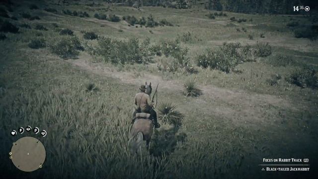 RDR 2: Master Hunter Challenge 2 (Collect 3 Perfect Rabbit Pelts) смотреть онлайн