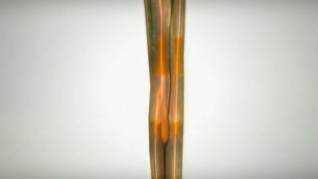 Movento Bayer Pakistan