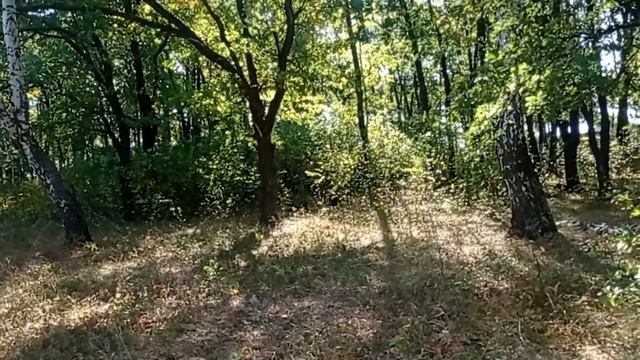 Даже не заметила , как внуки подросли. Дышу лесным воздухом .