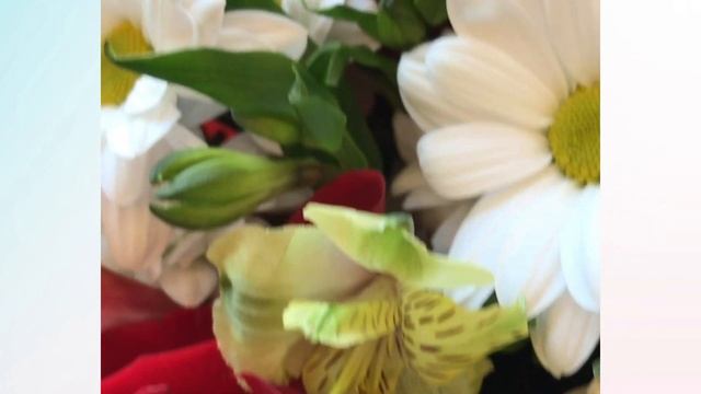 Букет из красных эквадорских роз, кустовых хризантем и альстромерии микс S смотреть онлайн