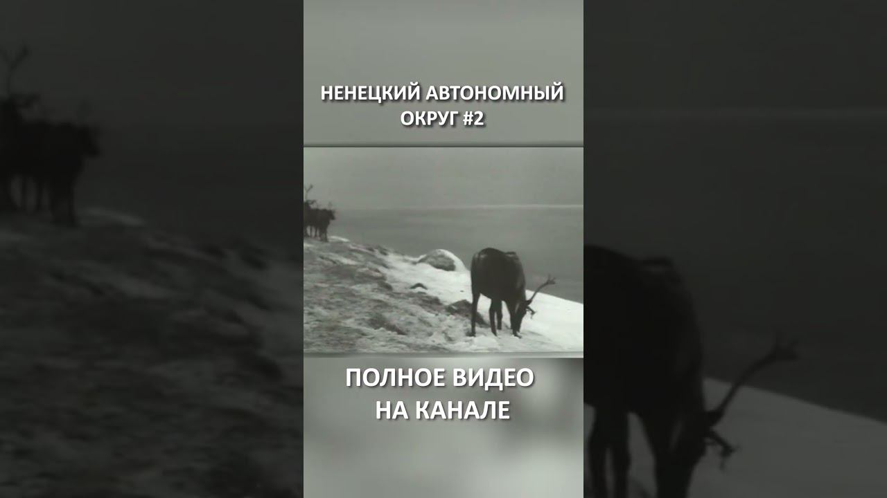 НЕНЕЦКИЙ АВТОНОМНЫЙ ОКРУГ 2 SHORTS #SHORTS смотреть онлайн