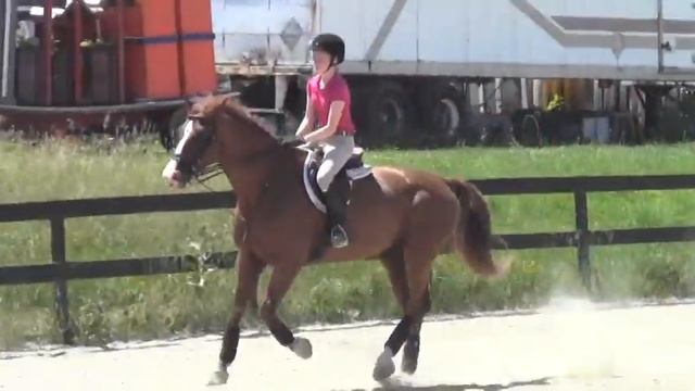 Fritz 2(2/10) смотреть онлайн