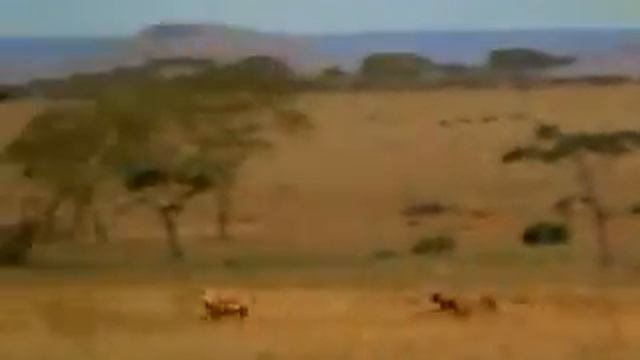 Fastest man on the planet.mp4 смотреть онлайн