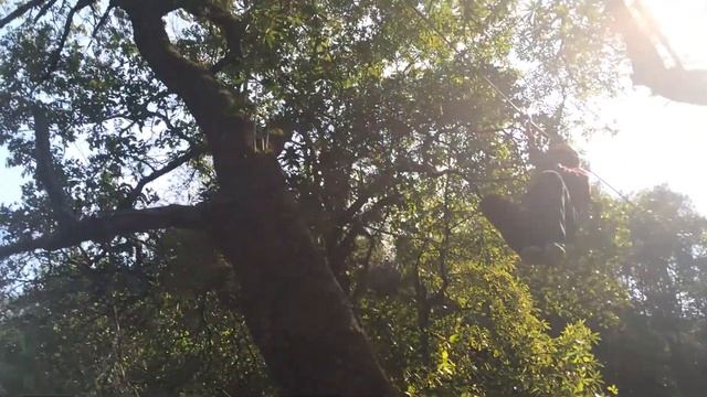 Skyway Trails - Python Alley! смотреть онлайн