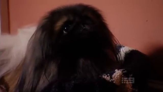 Aussie Ladette To Lady 01E01