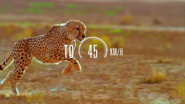 Klever Mobility | X Speed Pinion | 45km/h EBike | Speed Pedelec | Its A Jungle 021