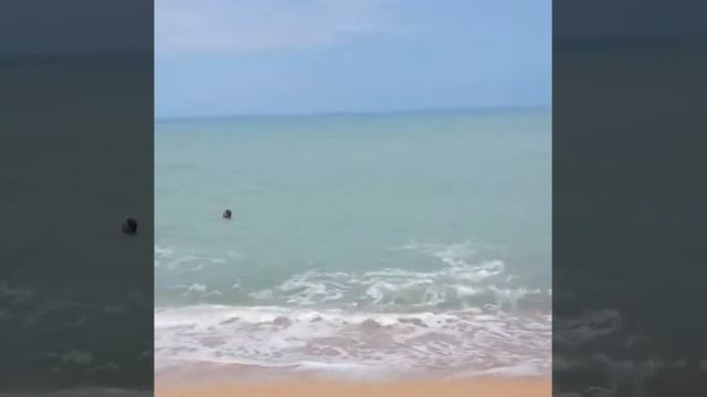 Пляж Сиамский залив Камбоджа смотреть онлайн