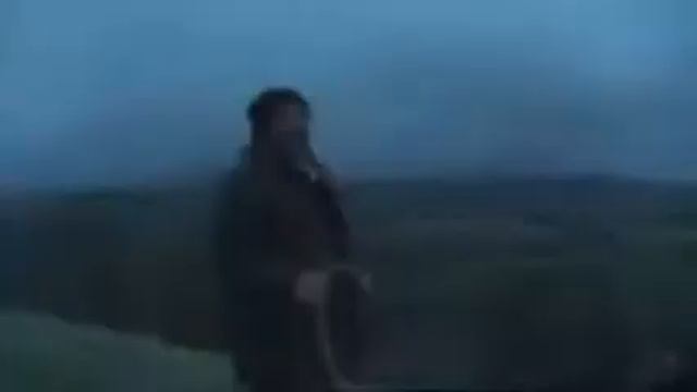 Amazing sheep смотреть онлайн