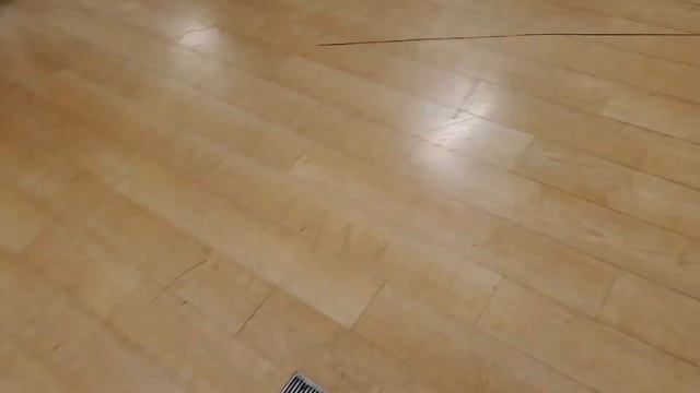 Shop With Me: Tjmaxx & Marshalls| Halloween Hunting| Rae Dunn смотреть онлайн