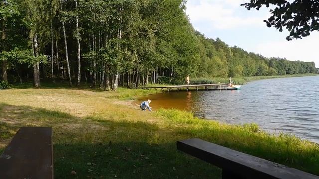Витебск Озеро Девино База Отдыха 24 07 23 по 28 07 23 смотреть онлайн