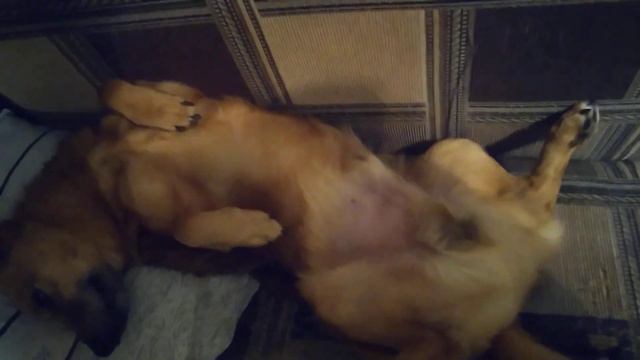 Кому на Руси жить хорошо смотреть онлайн