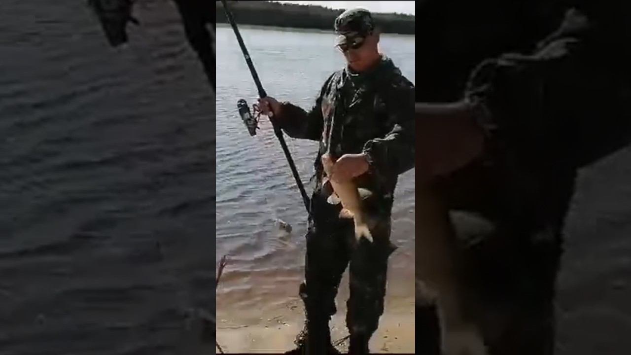 10 сентября 2023 г. смотреть онлайн