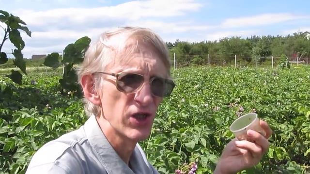 Украинская Наука: Биологический метод борьбы с колорадским жуком смотреть онлайн