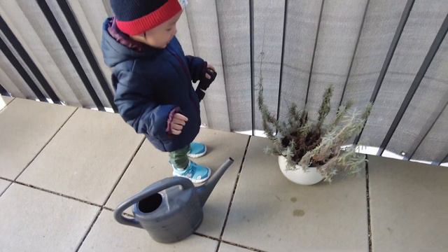 What Happens To Hydrangea On Winter? смотреть онлайн