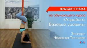 Фрагмент урока из обучающего курса «Аэройога  Базовый уровень»