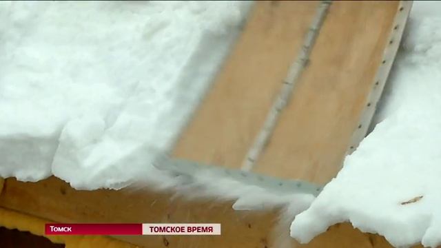 Томские студенты снова вышли на снежную вахту смотреть онлайн