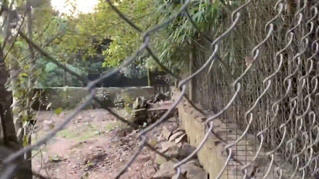 Биопарк- Батан Часть2. Мар дель плата смотреть онлайн