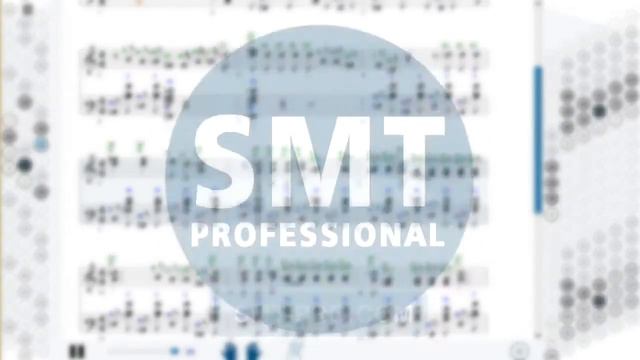 Как играть на баяне Имел я деньги пребольшие | How to play on accordion | SMT Pro смотреть онлайн