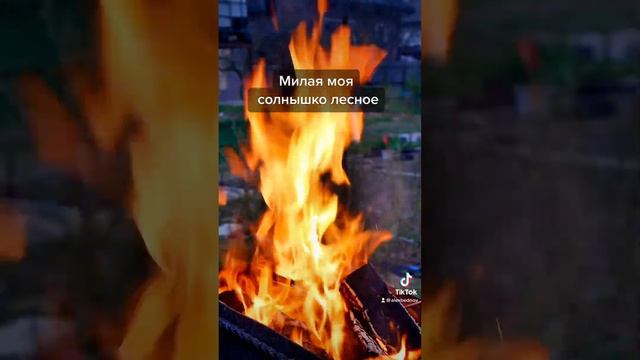 Милая моя #гитара #костёр смотреть онлайн