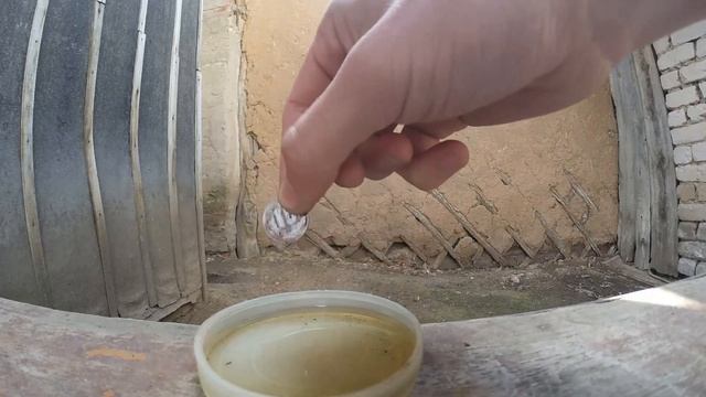 Как почистить монеты 2019 год смотреть онлайн