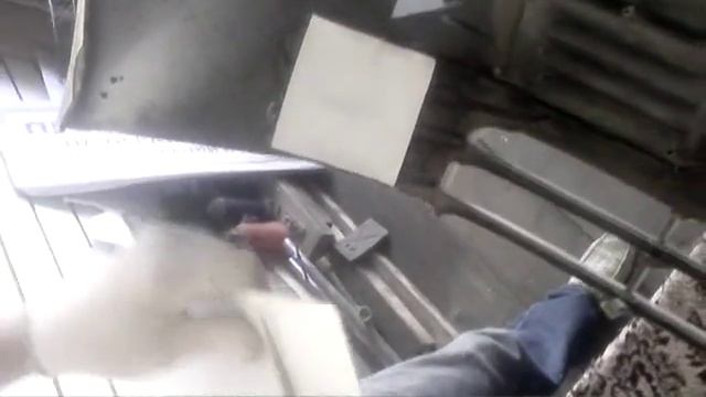 Вкусная еда для всех случаев жизни 