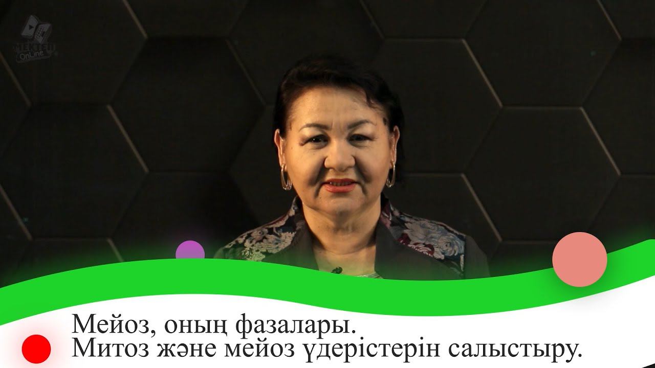 Мейоз, оның фазалары. Митоз және мейоз үдерістерін салыстыру. 9 сынып.