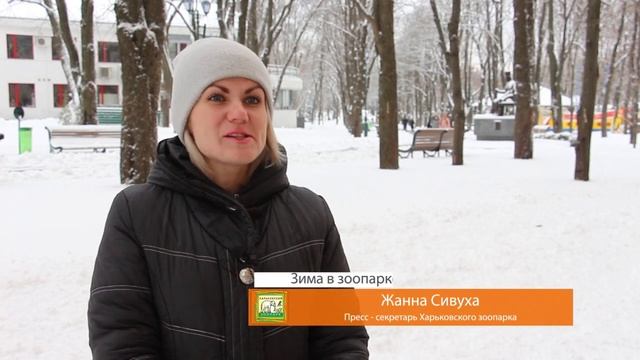 Зима в зоопарке смотреть онлайн