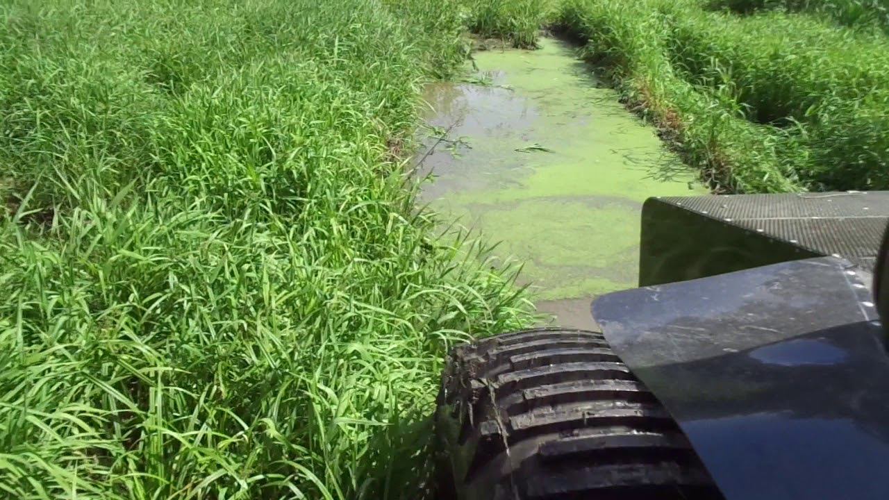 Тром 8 и болото смотреть онлайн