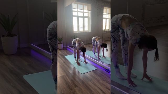 Йога, растяжка в Подольске. Центр йоги и массажа "Франжипани" смотреть онлайн