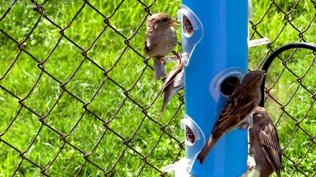 Успокаивающая музыка для нервов?лечебная музыка для сердца и сосудов, релаксация, музыка для души смотреть онлайн