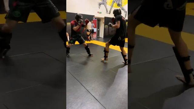 Спарринги ??