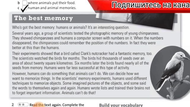 Ағылшын тілі 7 сынып.English plus 7.Workbook.unit 3.page 28-37 беттер смотреть онлайн
