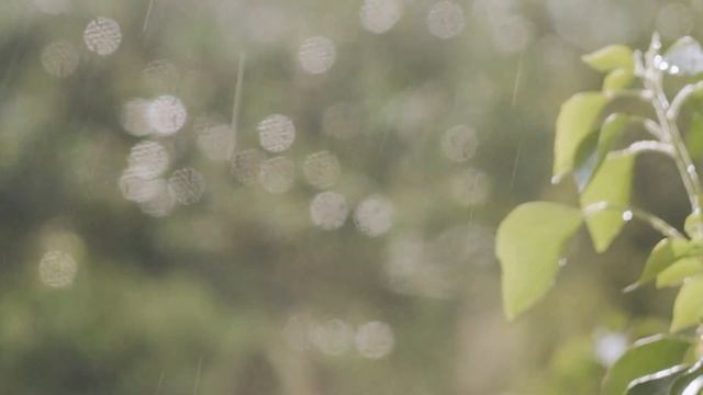 Как Понять Свои Сильные Стороны чтобы Достигнуть Успеха В Жизни смотреть онлайн