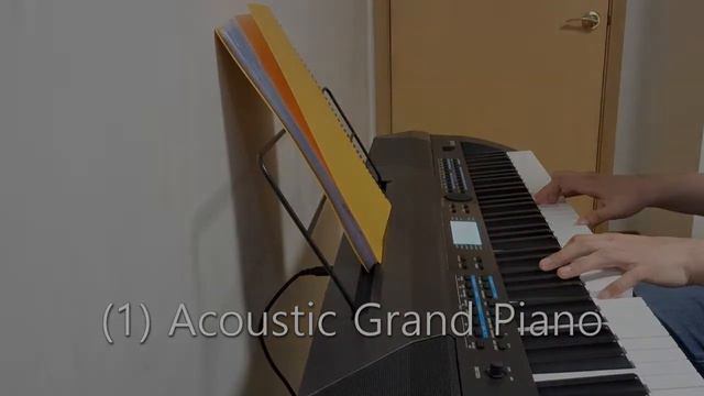 Kurzweil KA120 Test