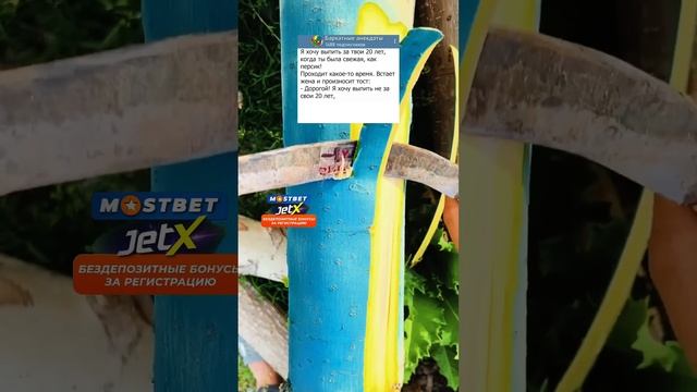 Анекдот про тост на пятидесятилетие жены #анекдоты ?#мем #приколы #юмор смотреть онлайн