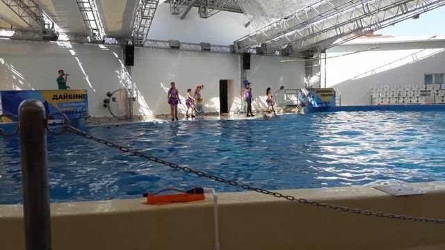 Дельфинарий.mp4 смотреть онлайн