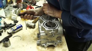 Лодочный мотор Москва 30  установка поршневой