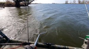 Астрахань 2022 / Рыбалка на Бахтемире / остров Мумра / часть 4